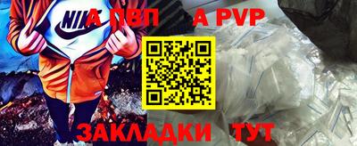 шишки Аргун