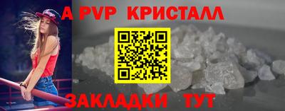 шишки Аргун