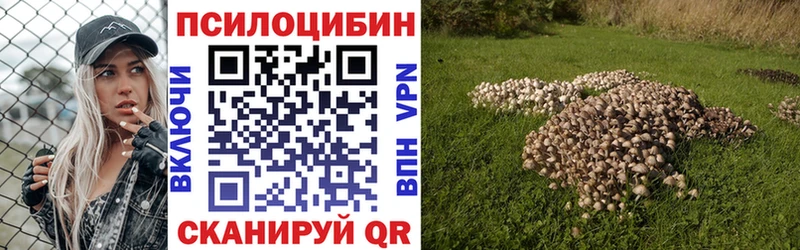 ОМГ ОМГ ссылка  Карабулак  Галлюциногенные грибы Magic Shrooms 