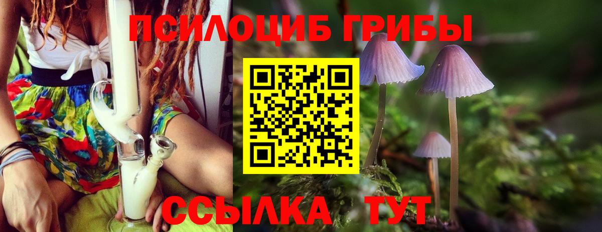 Галлюциногенные грибы мицелий  Вход с VPN  Карабулак 