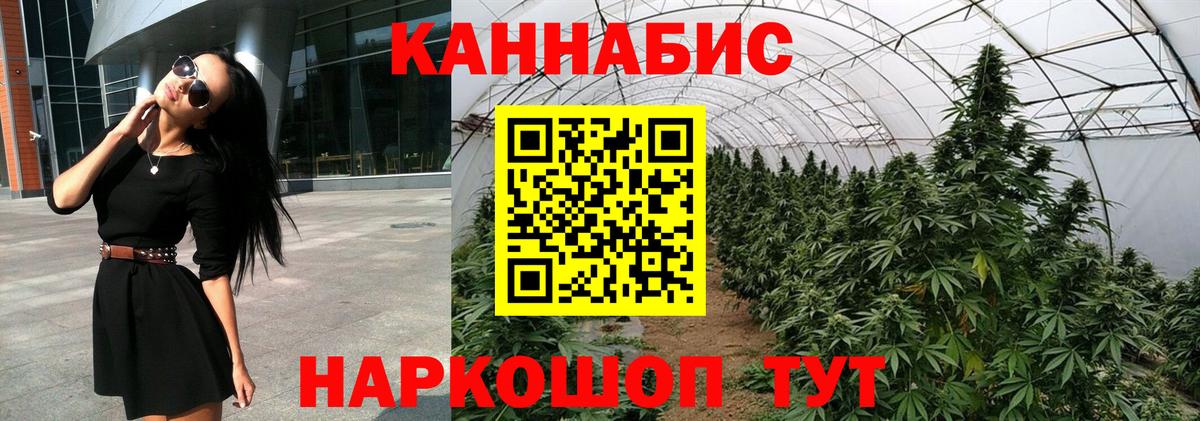 Канабис MAZAR  МАРИХУАНА планчик  Бошки Шишки OG Kush  Карабулак 